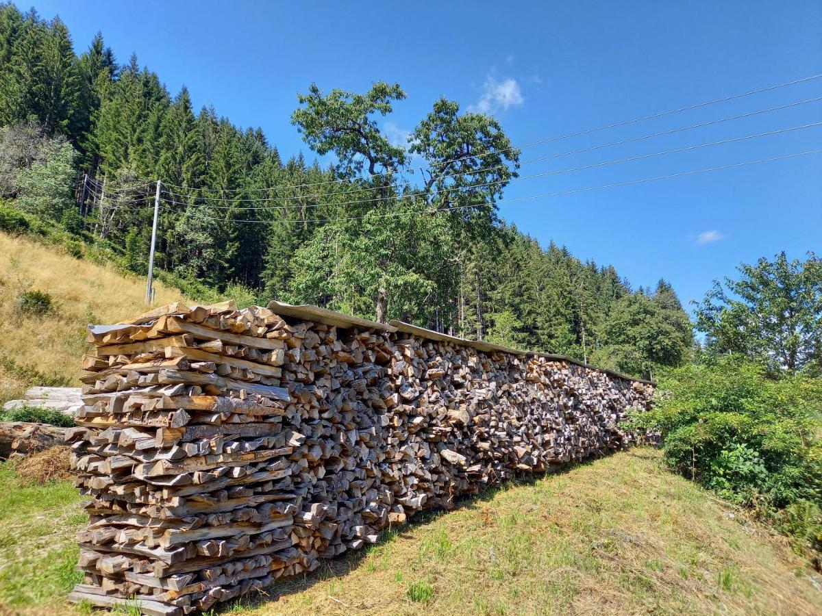 Landhaus Gruenjuwel Himmelberg Extérieur photo